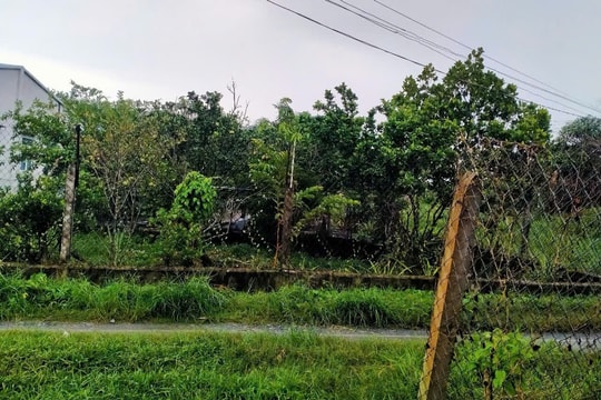 Tây Ninh: Mua đất có “sổ đỏ” nhưng nhận đất đường giao thông