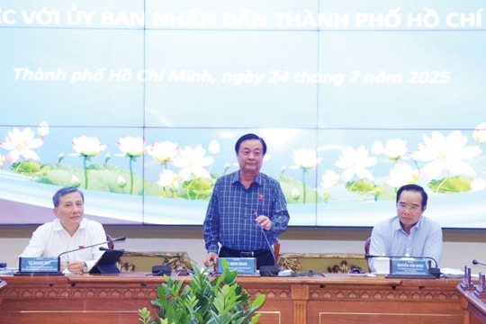 Phó Chủ tịch Quốc hội Lê Minh Hoan chủ trì làm việc với UBND TP. Hồ Chí Minh