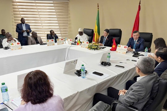 Phó Chủ tịch Quốc hội Nguyễn Đức Hải dự cuộc làm việc giữa Kiểm toán Nhà nước và Tòa Thẩm kế Senegal