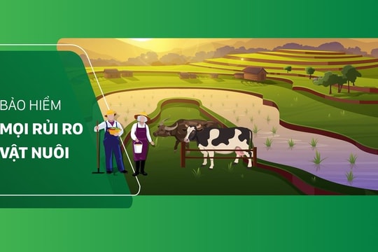 Bảo hiểm Agribank san sẻ rủi ro với khu vực “tam nông” Bài 1: “Tấm khiên kinh tế" mùa bão lũ