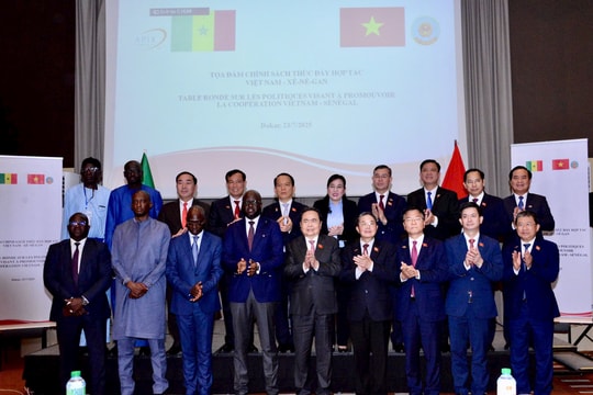 Xung lực mới thúc đẩy hợp tác Việt Nam – Senegal