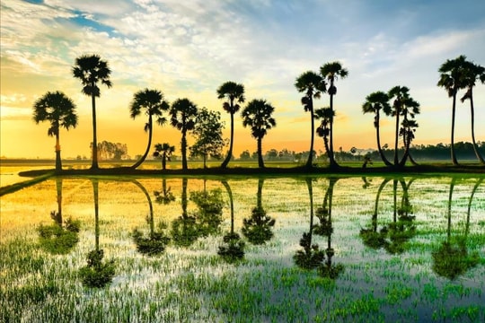 Sức khỏe của nước - mạch ngầm cho quốc gia bền vững