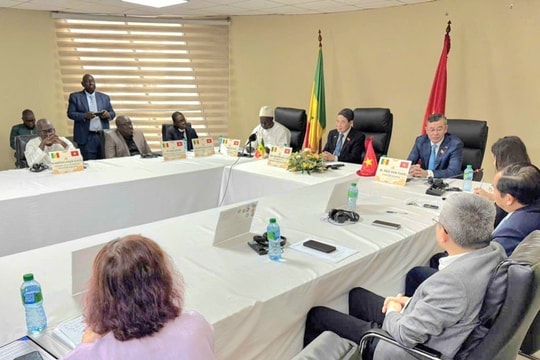 Vietnamese, Senegalese state audit agencies set up cooperation