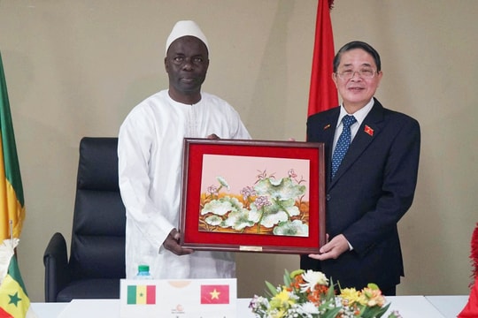 Tăng cường hợp tác giữa Kiểm toán nhà nước và Toà Thẩm kế Senegal