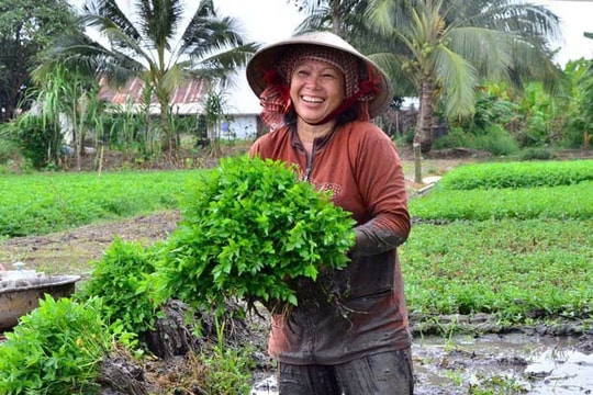 Khơi thông dòng chảy tín dụng chính sách ở An Giang