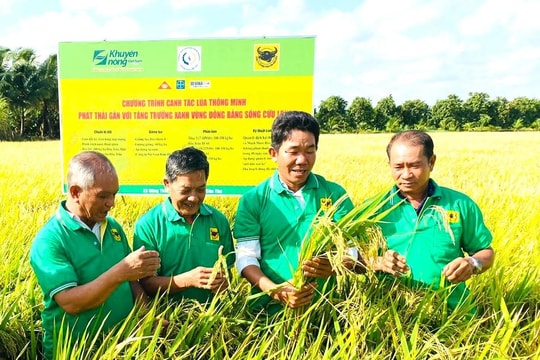 Giúp nâng cao giá trị nông sản, phát triển nông nghiệp bền vững