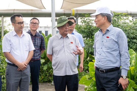 Phó Chủ tịch Quốc hội Lê Minh Hoan khảo sát một số cơ sở xử lý nước thải, rác sinh hoạt tại Hà Nội