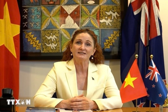 Vietnam’s rising role in ASEAN lauded by New Zealand Ambassador