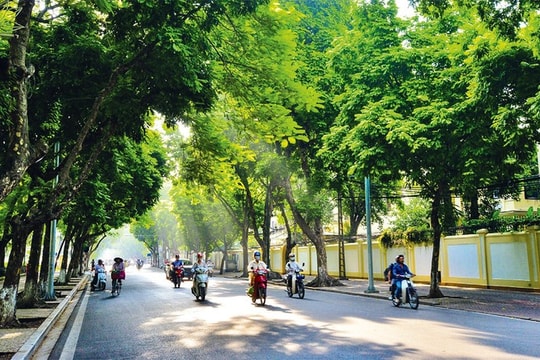 Dự báo thời tiết ngày 28/7: Bắc Bộ nắng nóng, Nam Bộ có nơi mưa to