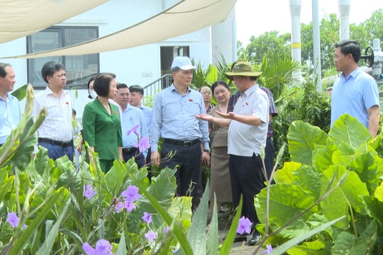 Khảo sát thực tế việc bảo vệ môi trường tại Hà Nội: Từ công nghệ xử lý hiện đại đến giám sát chặt chẽ