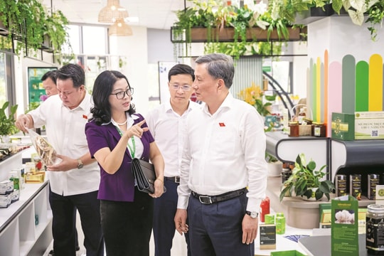 Triển khai đồng bộ giải pháp hỗ trợ chuyển đổi nông nghiệp bền vững