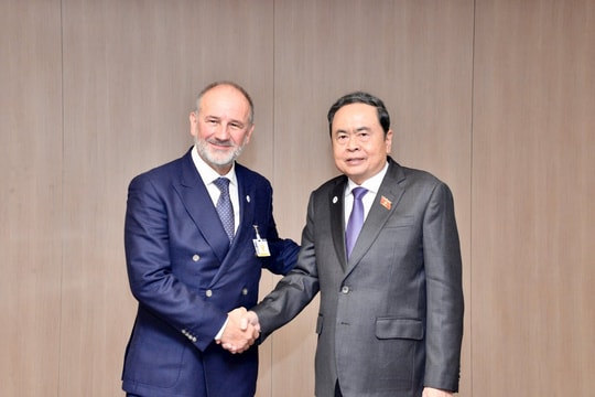 Chủ tịch Quốc hội Trần Thanh Mẫn gặp Chủ tịch Thượng viện Áo