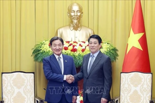 Vietnam always values ties with RoK: State President