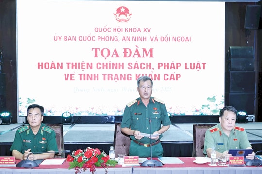 Tọa đàm hoàn thiện chính sách, pháp luật về tình trạng khẩn cấp