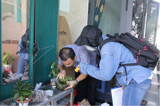 TP. Hồ Chí Minh: Số ca mắc sốt xuất huyết gia tăng