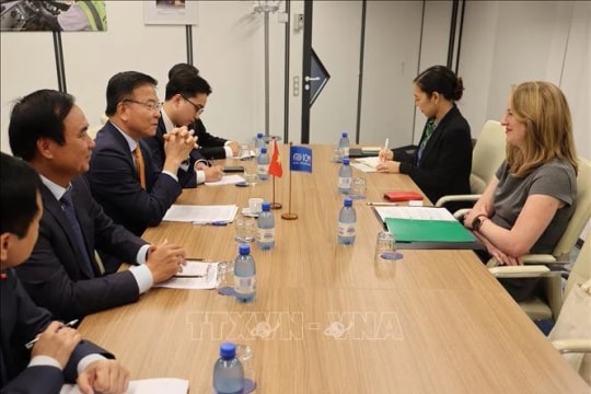 Vietnam steps up international cooperation in climate and migration fields