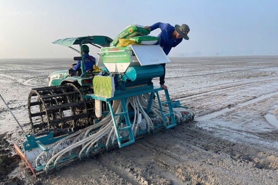 Lợi ích của phân bón Đầu Trâu Bio – Canxi trong cải tạo đất