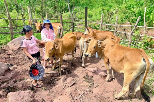 Bản nhỏ - giấc mơ lớn!