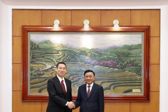 Vietnamese, Japanese communist parties enhance cooperation