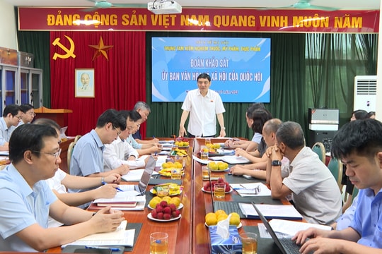 Tăng cường giám sát, bịt lỗ hổng trong phòng, chống thuốc giả, thực phẩm giả