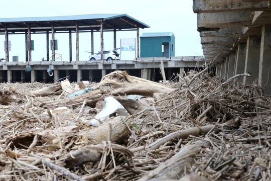Rác bủa vây cảng cá Xuân Hội, tàu thuyền gặp khó khi ra vào neo đậu