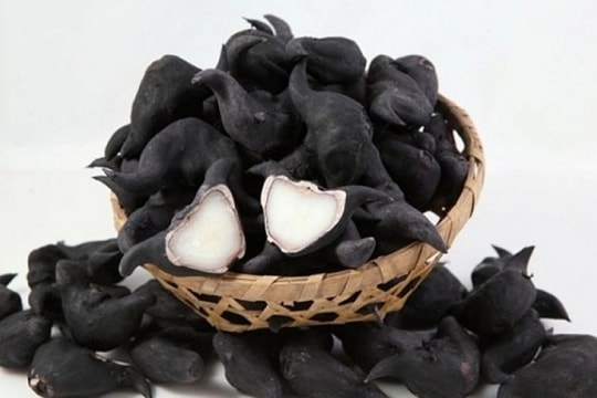 Cẩn trọng với củ ấu tàu: Vị thuốc Đông y có thể gây tử vong nếu dùng sai cách