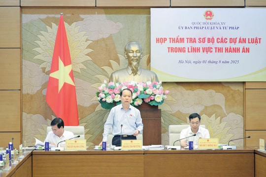 Thẩm tra sơ bộ dự án Luật Thi hành án dân sự (sửa đổi)