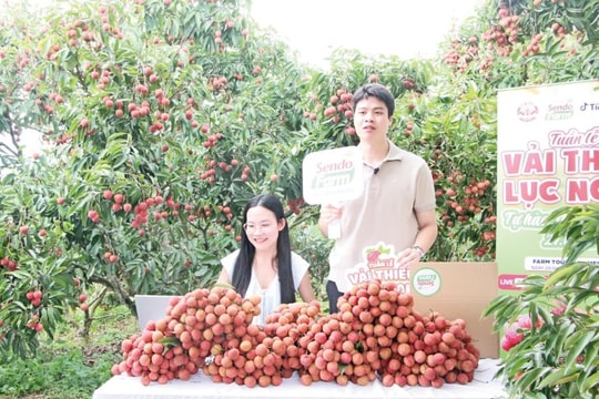Bắc Ninh: Nghiên cứu thành lập câu lạc bộ KOL nhằm đẩy mạnh tiêu thụ vải thiều trên các sàn thương mại điện tử