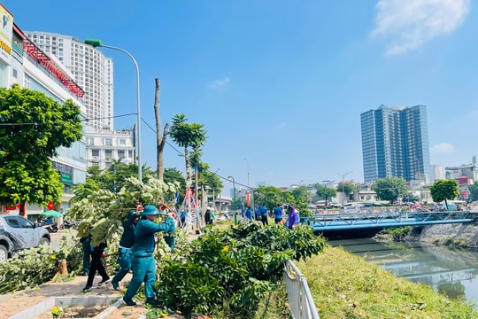 Hà Nội: Phường Khương Đình ra quân thực hiện phong trào thi đua hướng tới đô thị "Sáng - Xanh - Sạch - Đẹp"