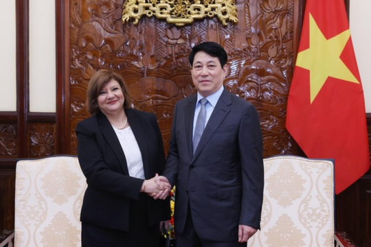 President’s Africa tour to deepen Vietnam’s ties with Egypt, Angola: Deputy FM