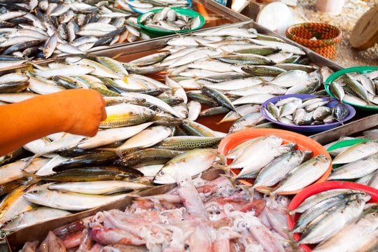 Ngành thủy sản xây dựng chiến lược riêng với thị trường nội địa