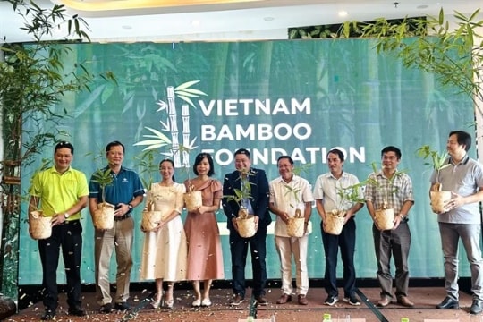 New foundation champions bamboo for sustainability, heritage preservation