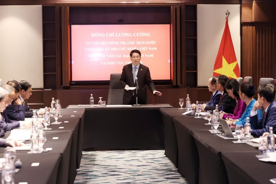 Consolidating political trust between Vietnam and African countries to expand cooperation: State President