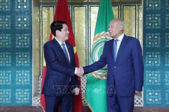 Vietnam expects more substantive, effective ties with Arab League: President