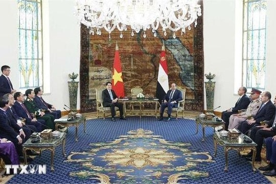 Chủ tịch nước Lương Cường hội đàm với Tổng thống Ai Cập