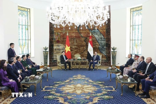 Chủ tịch nước Lương Cường hội đàm với Tổng thống Ai Cập