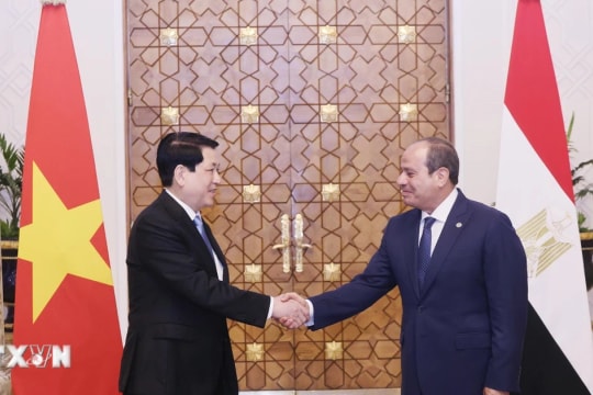Việt Nam và Ai Cập nhất trí nâng cấp quan hệ lên Đối tác Toàn diện