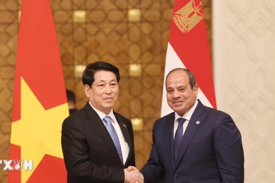 Tuyên bố chung Việt Nam - Ai Cập về nâng cấp quan hệ lên Đối tác Toàn diện