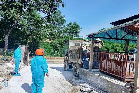 Phú Thọ khẩn trương khống chế dịch tả lợn châu Phi