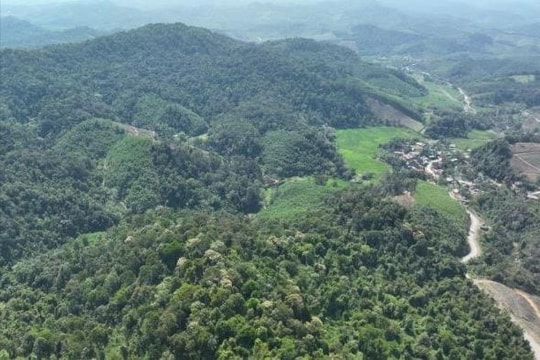 Phát huy hiệu quả chính sách chi trả dịch vụ môi trường rừng