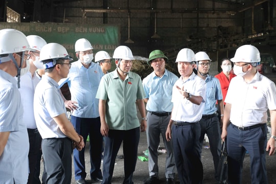 Đoàn giám sát của Quốc hội về bảo vệ môi trường khảo sát tại Hải Phòng