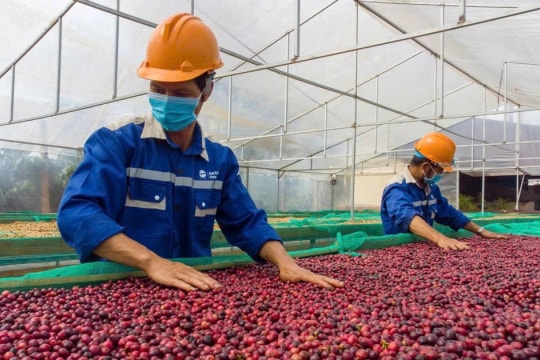Vietnam's export orders rebound amid reciprocal tariffs