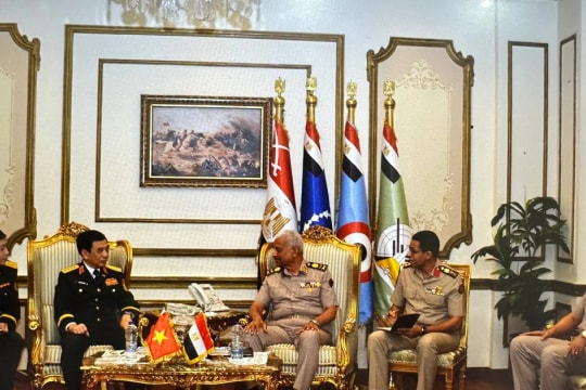 Vietnam, Egypt bolster defence cooperation