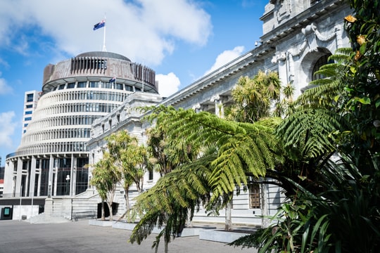 New Zealand loại bỏ văn hóa “nói không”