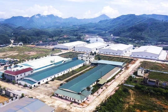 Quảng Ninh: Thực hiện nghiêm việc quản lý, phát triển cụm công nghiệp trên địa bàn tỉnh