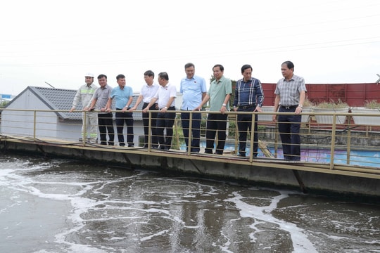 Từ kinh tế tuần hoàn đến phân loại rác tại nguồn: Hải Phòng kiến tạo mô hình môi trường bền vững