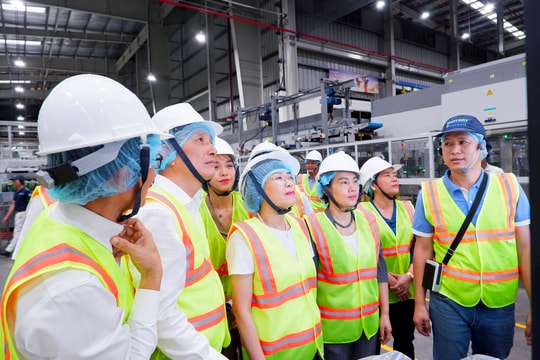 Đoàn giám sát của Quốc hội khảo sát tại TP. Cần Thơ