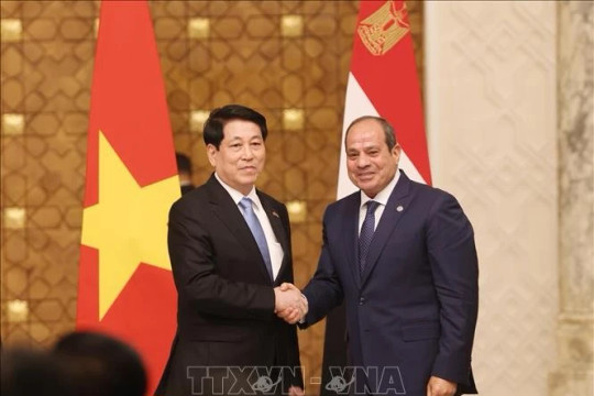 Vietnamese, Egyptian Presidents hold talks, agree to lift ties to Comprehensive Partnership