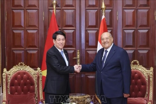 Vietnamese, Egyptian leaders agree to beef up parliamentary cooperation