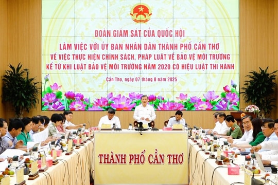 Cần Thơ: Nhiều thách thức trong công tác bảo vệ môi trường, ứng phó biến đổi khí hậu